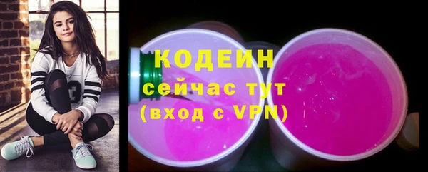 прущий лед Нея