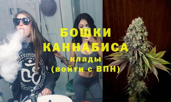 прущий лед Нея
