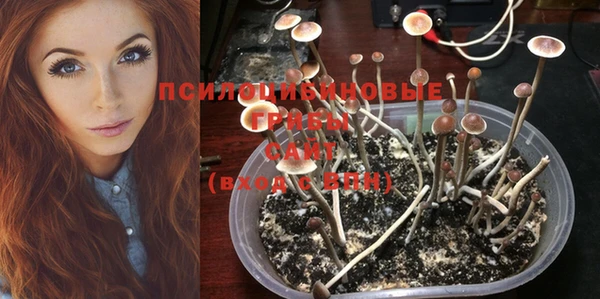 MESCALINE Нефтекумск