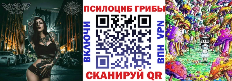 Псилоцибиновые грибы MAGIC MUSHROOMS  наркотики  Шагонар 